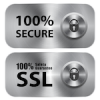 100% secure internet 100% SSL access Quality Icon